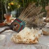 Temazcal Experience